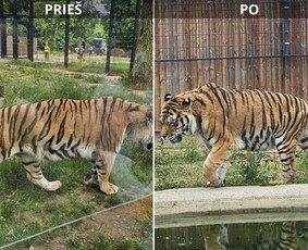 siltuciai salikuciai gm801 galerija 3