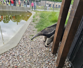 siltuciai salikuciai gm801 galerija 4